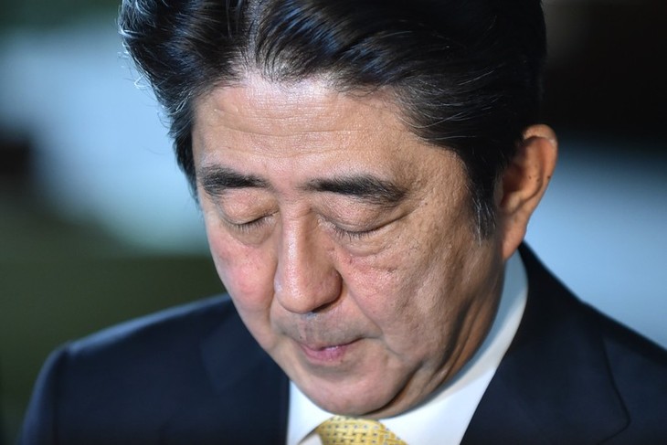 Japon : deux ministres de Shinzo Abe démissionnent - ảnh 1